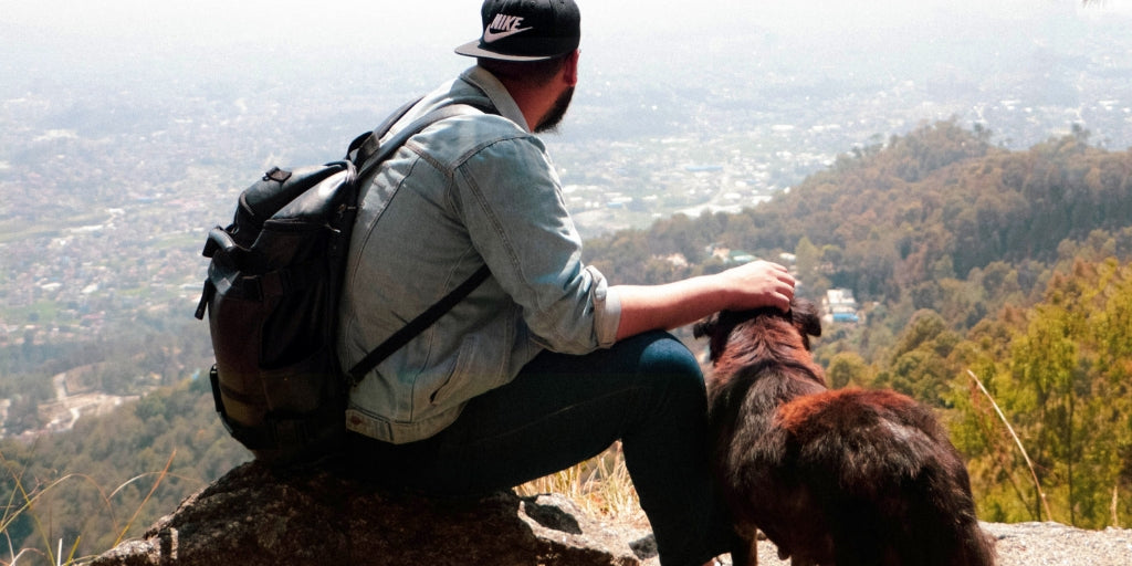 Summer Lovin: 4 Ways to Enjoy the Sunshine with Your Pet