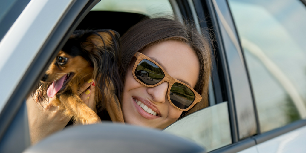 Car Travel with Your Dog: 5 Safety Tips to Follow